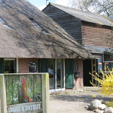 B&B De Berghoeve Ruinen Εξωτερικό φωτογραφία